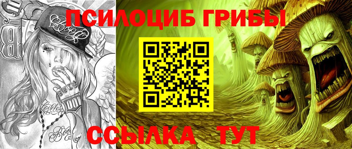 Псилоцибиновые грибы ЛСД  Псилоцибиновые грибы GOLDEN TEACHER  Отрадный  Вход с VPN 